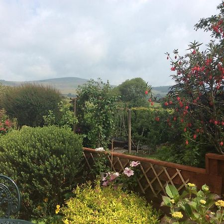 Brynhaul Bed And Breakfast Maenclochog Exterior photo