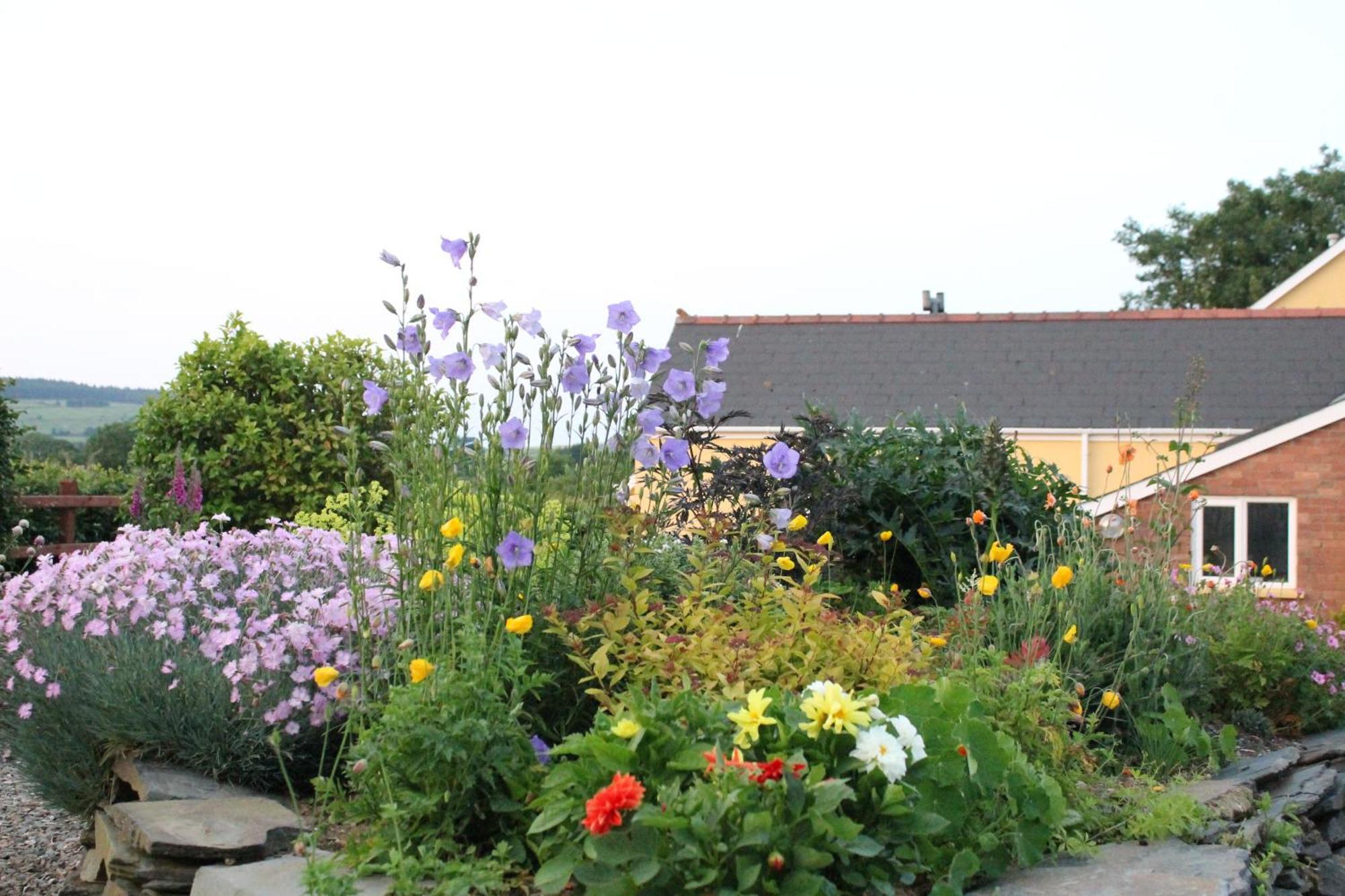 Brynhaul Bed And Breakfast Maenclochog Exterior photo