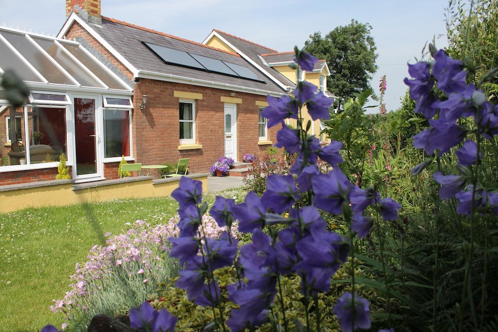 Brynhaul Bed And Breakfast Maenclochog Exterior photo