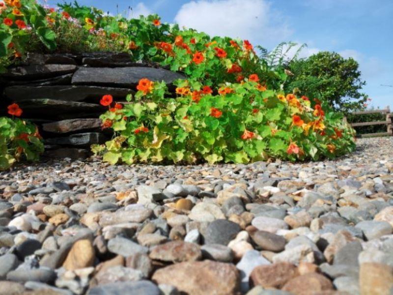 Brynhaul Bed And Breakfast Maenclochog Exterior photo